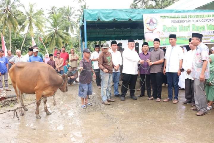 Walikota Gunungsitoli Serahkan Hewan Qurban Di Masjid Jami Syuhada