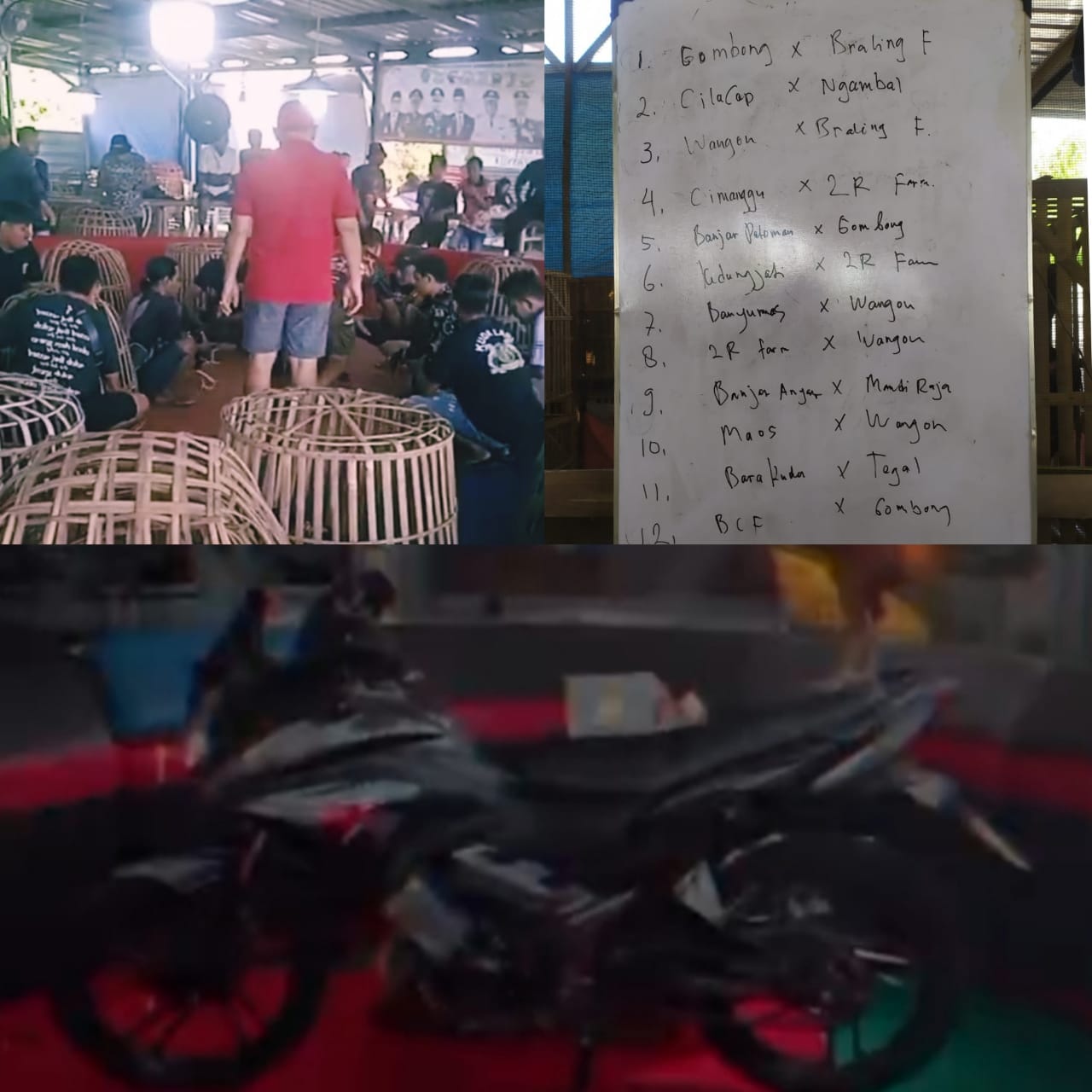 Modus Lomba Berhadiah Satu Sepeda Motor, Judi Sabung Ayam, Diduga Ada Oknum Anggota DPR Terlibat Pengondisian wilayah,  Layaknya Seperti Kebal Hukum